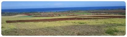 Agricultural land development in Waialua