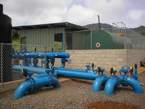 Filtration and valve manifold station