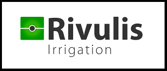 Rivulis